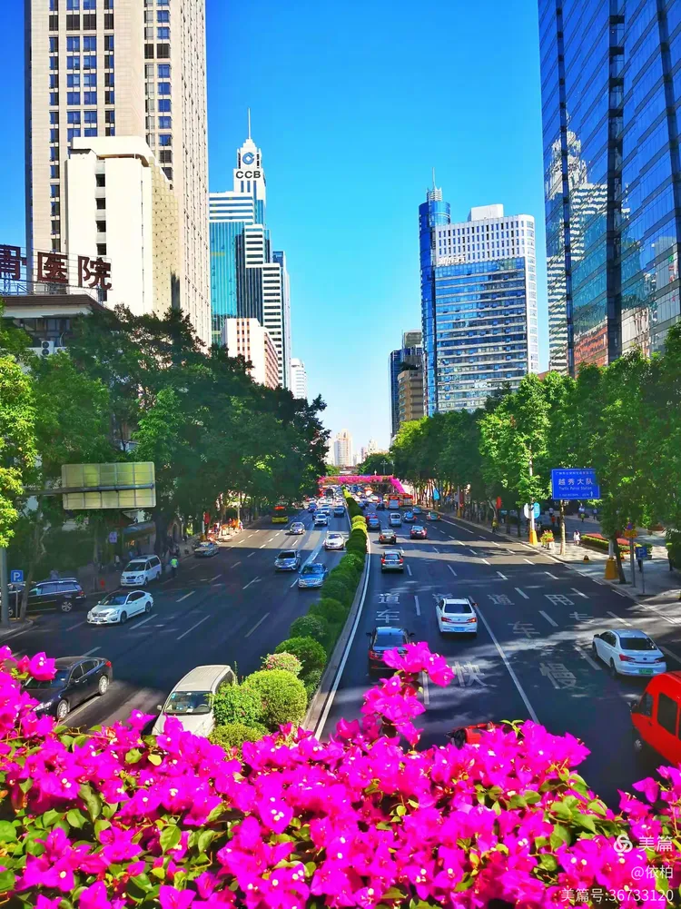 手机里的广州(1)家门口东风中路